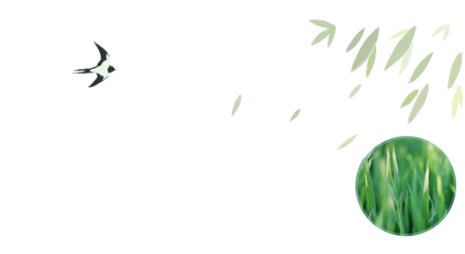 员工随笔丨抗“疫”过年，各人都还好吗？