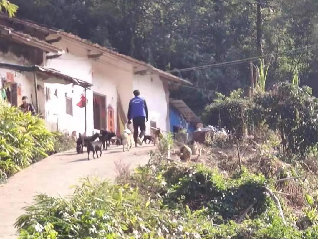 阳春房地一体项目纪实丨无悔青春多砥砺，最是奋斗动人心