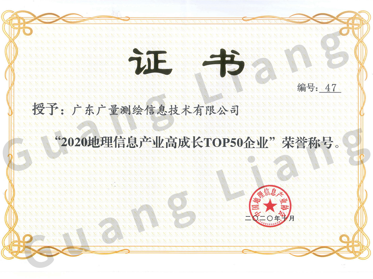 2020年地理信息产业高成长TOP50企业