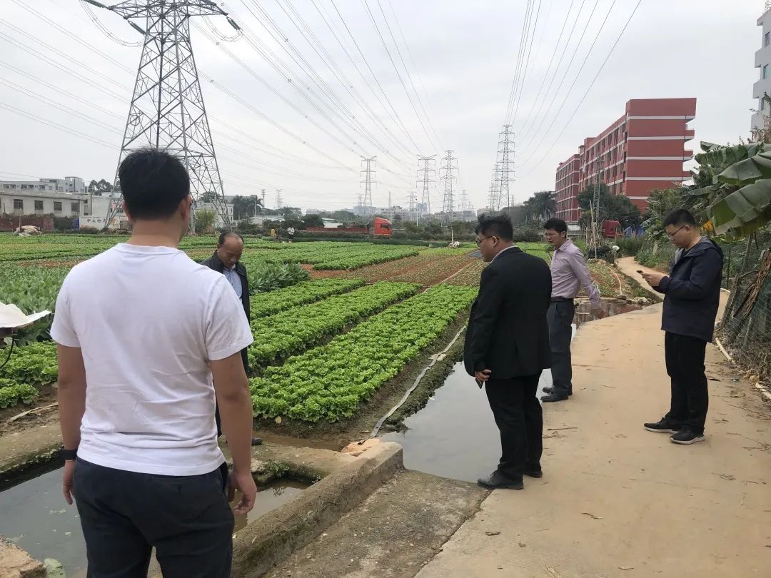 助力村落振兴，J9集团一向在致力！