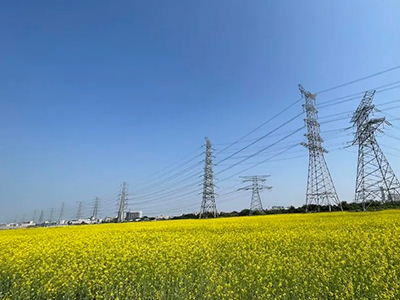 J9集团规划丨央视点赞东莞厚街复耕良田盛开迎春花！