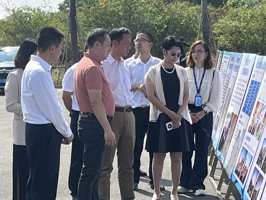 汕尾市辅导高度器沉全域地皮综合整治