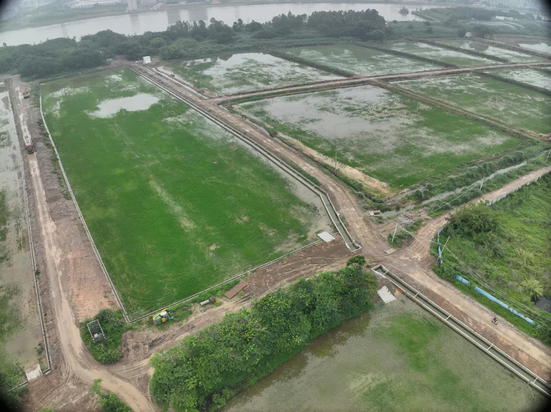 J9集团集团丨复耕路滘撂荒地，绘就田园新图景