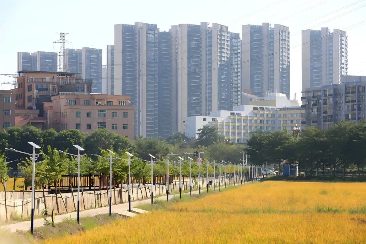 喜获市级认定 ! 茶山京山、南社田园美出新高度！