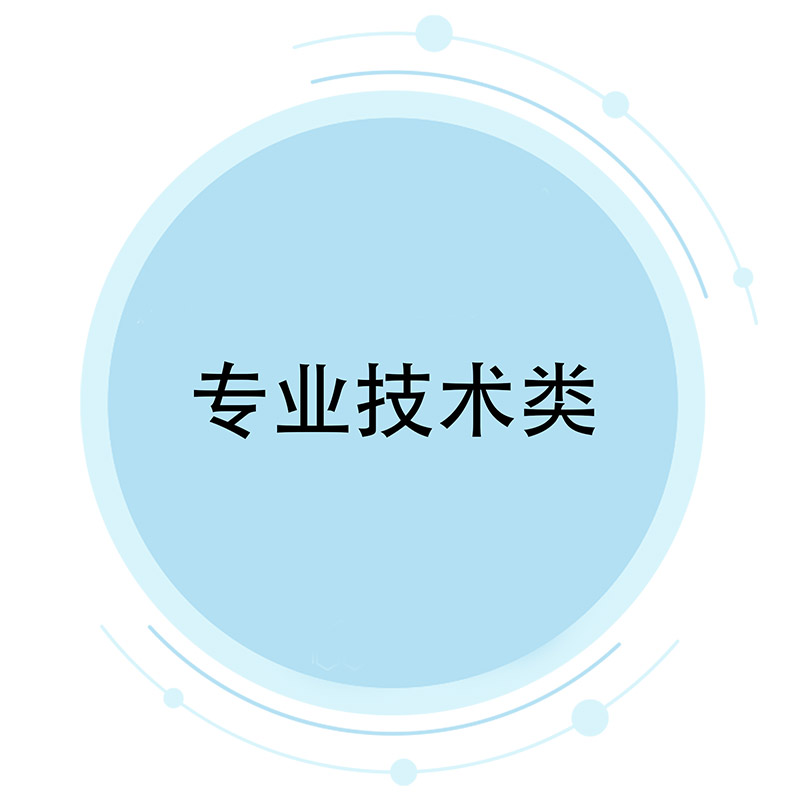 专业技术类
